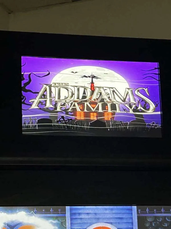 Pinballia 49″ Premium Plus 4K OLED 120 Hz Virtual Pinball Machine Family